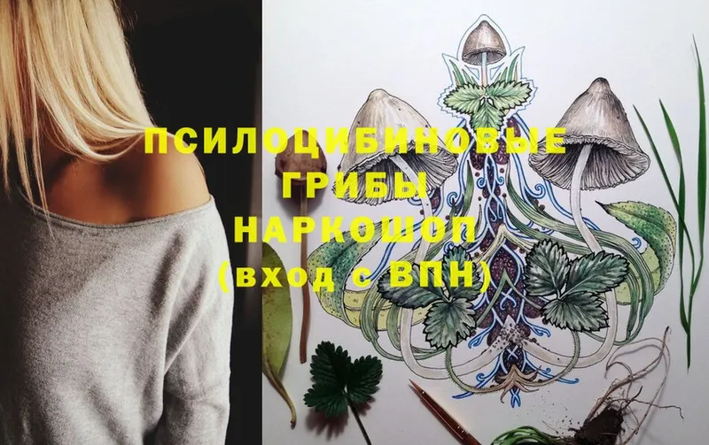 Псилоцибиновые грибы Magic Shrooms  Иланский 